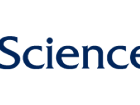 DSA logo